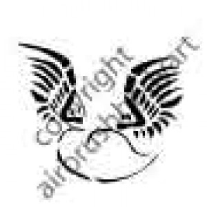 0225 heart with wings re-usable stencil